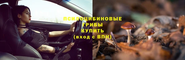 метадон Богданович