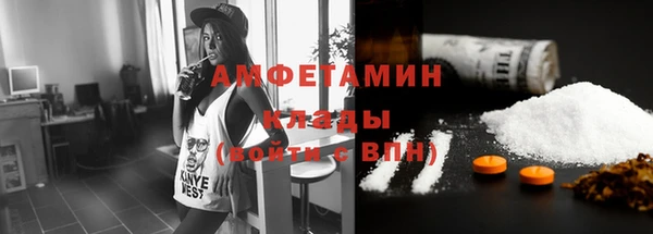 метадон Богданович